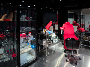 Domina Lady Monique The Prestige Volketswil Zürich