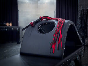 Domina Lady Monique The Prestige Volketswil Zürich