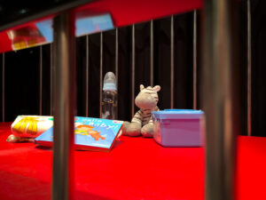 Domina Lady Monique The Prestige Volketswil Zürich